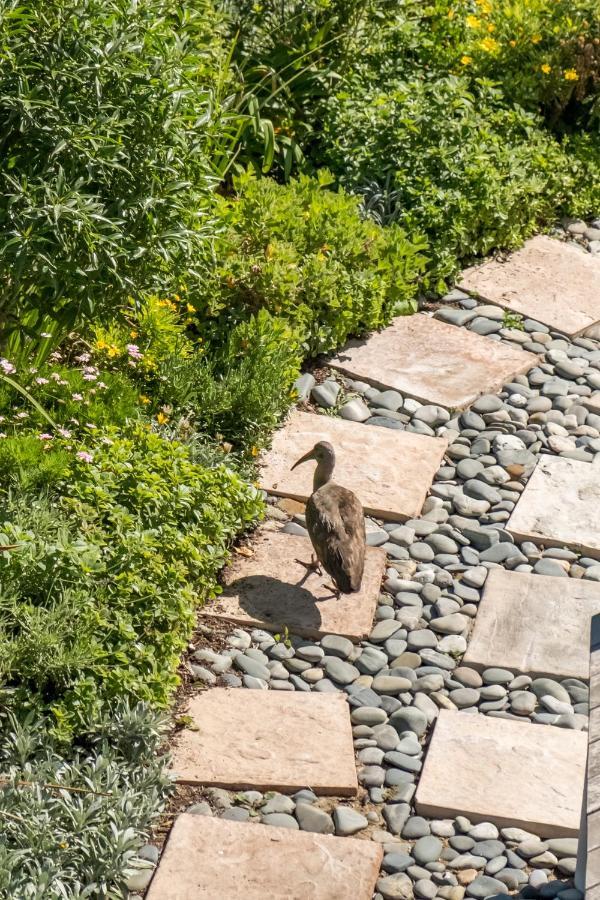 Ocean12 Guesthouse Sunset Beach Cape Town Exterior photo